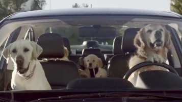 subaru-puts-dogs-behind-the-wheel-and-even-gives-a-puppy-its-own-booster-seat