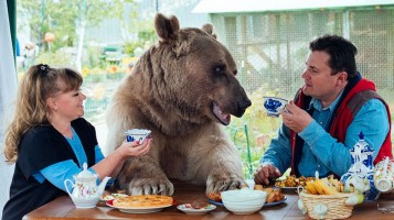adopted-bear-russian-family-stepan-a20-vrk5x